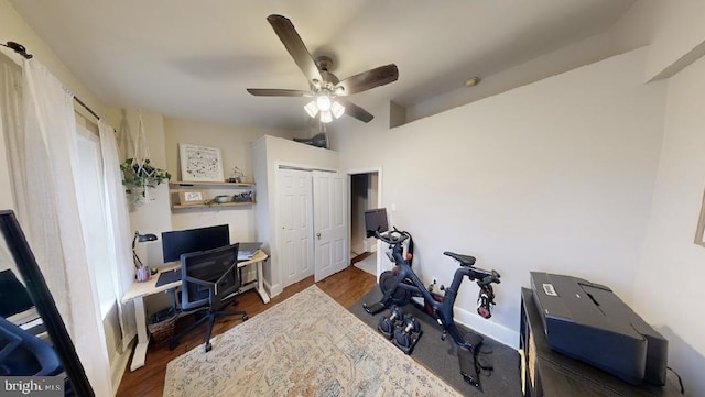 office space with ceiling fan and dark hardwood / wood-style flooring