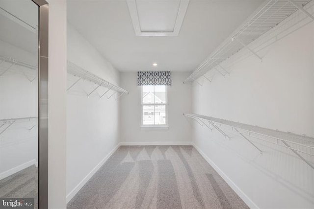 walk in closet featuring light carpet