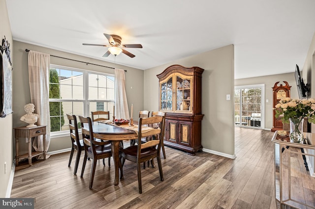 dining area with hardwood / wood-style floors and ceiling fan