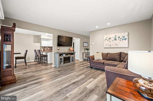 living room with light hardwood / wood-style flooring