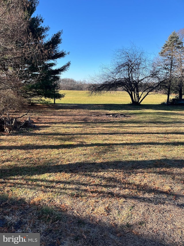 view of yard featuring a rural view