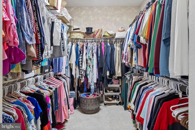 walk in closet with carpet floors