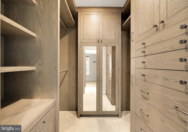 view of walk in closet