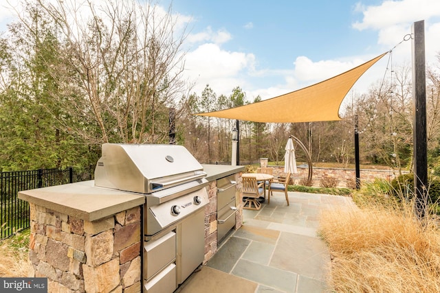 view of patio / terrace with an outdoor kitchen