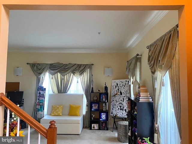 interior space featuring carpet floors and ornamental molding