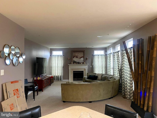 carpeted living room with a healthy amount of sunlight