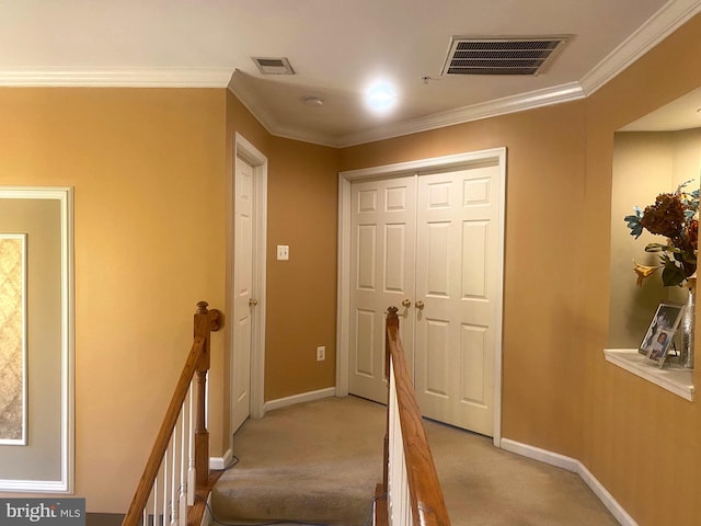 hallway with ornamental molding and light carpet