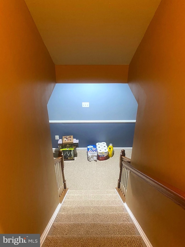 stairway featuring carpet floors and vaulted ceiling