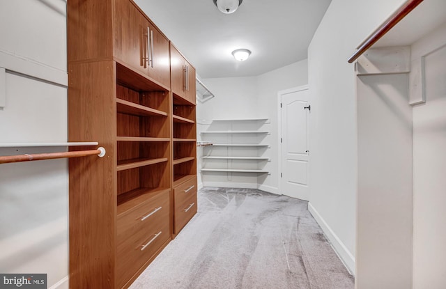 walk in closet with light colored carpet