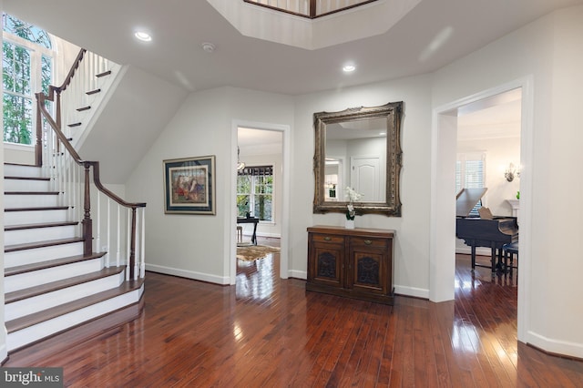 foyer featuring a healthy amount of sunlight and dark hardwood / wood-style flooring