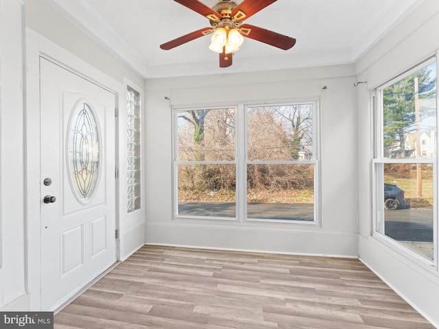 entryway with ceiling fan, crown molding, and light wood-type flooring