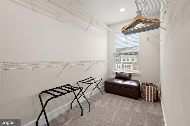 spacious closet featuring carpet