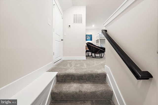 staircase featuring carpet