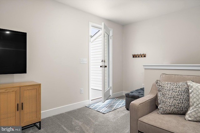 sitting room with carpet flooring