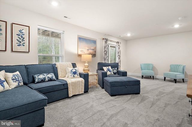 carpeted living room with a wealth of natural light