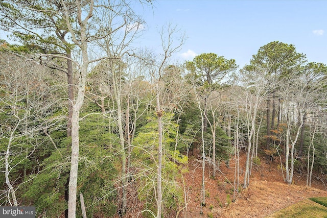 view of local wilderness