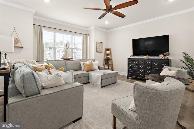 living room featuring ceiling fan, ornamental molding, and light hardwood / wood-style flooring