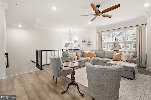 living room featuring ceiling fan with notable chandelier, light hardwood / wood-style floors, and crown molding