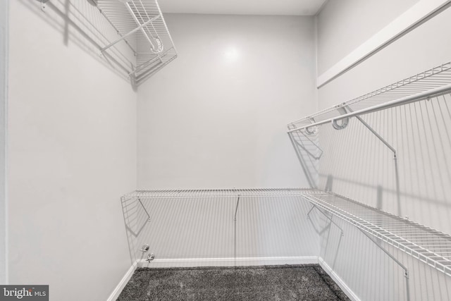 walk in closet featuring dark colored carpet