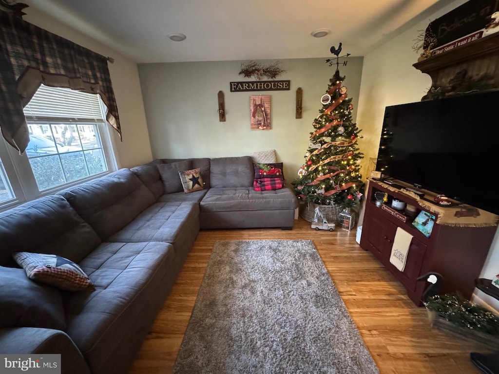 living room with wood-type flooring