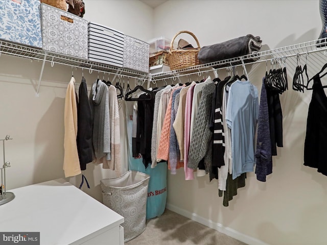 spacious closet with carpet floors