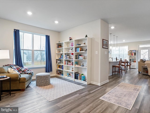 living area featuring hardwood / wood-style floors