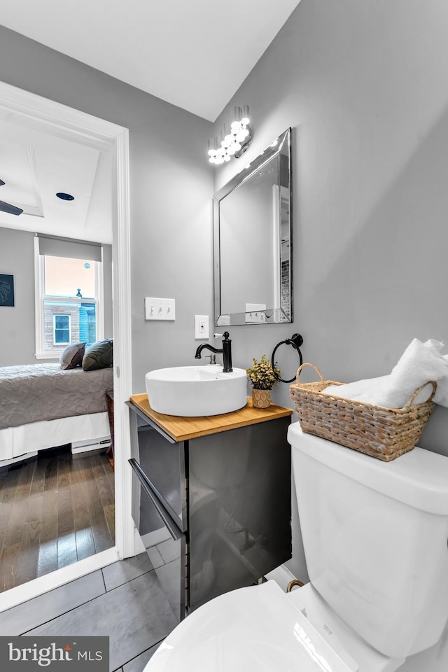 bathroom with vanity, wood-type flooring, and toilet