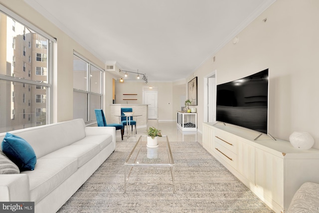 living room with crown molding