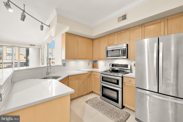 kitchen featuring decorative backsplash, light brown cabinets, sink, and appliances with stainless steel finishes