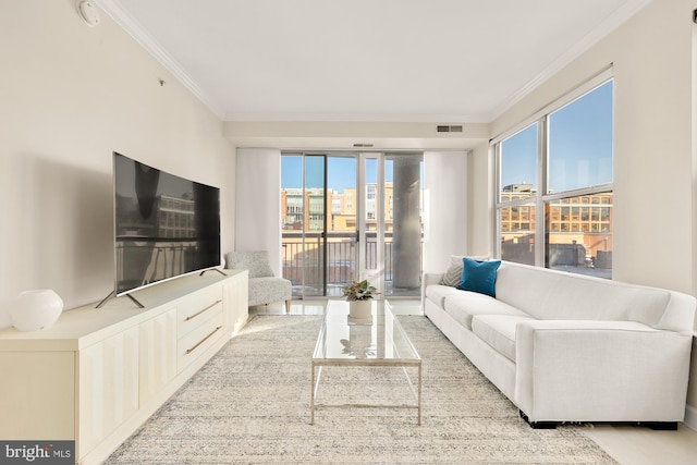 living room with plenty of natural light and crown molding