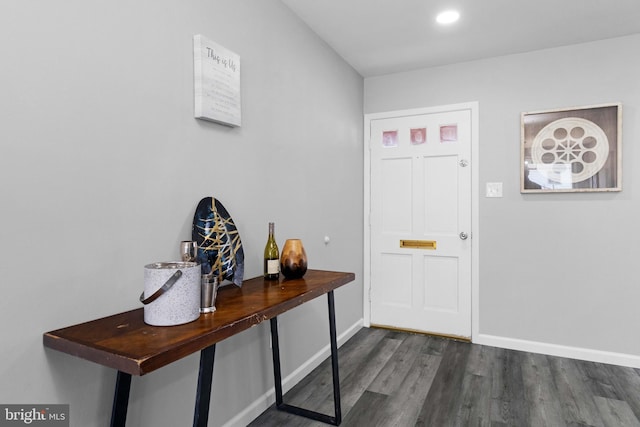 entrance foyer featuring dark hardwood / wood-style flooring