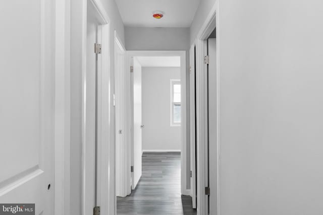 hallway with dark wood-type flooring