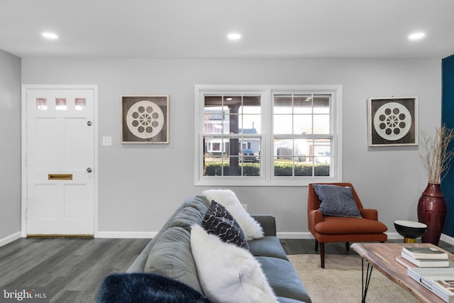 living room featuring hardwood / wood-style flooring