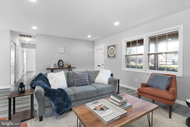 living room featuring hardwood / wood-style floors