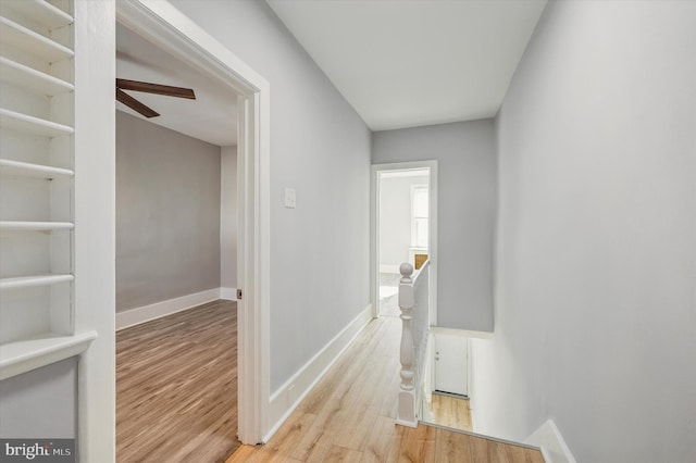 hallway featuring light hardwood / wood-style flooring