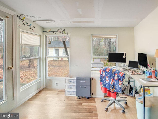 office with ceiling fan and light hardwood / wood-style flooring