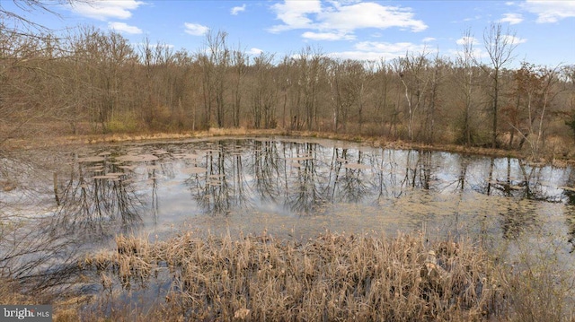 water view