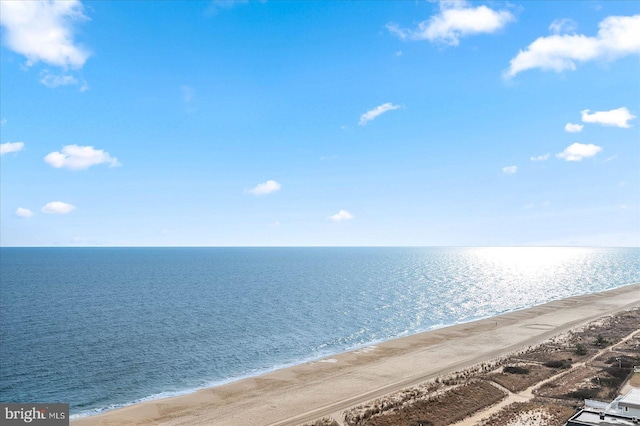 property view of water featuring a beach view