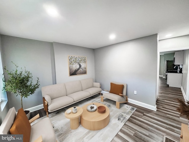 living room with wood-type flooring