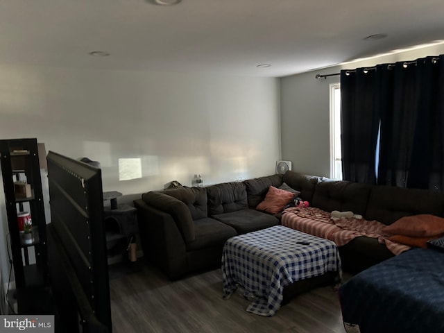 living room with hardwood / wood-style flooring