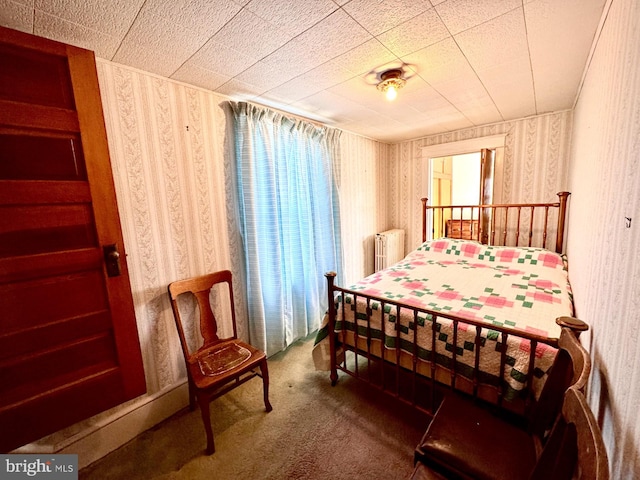 bedroom with carpet flooring and radiator heating unit