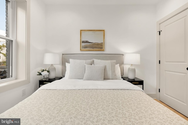 bedroom featuring wood-type flooring