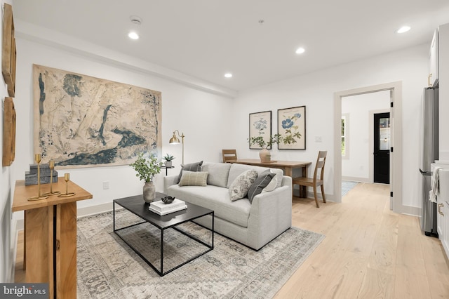 living room with light hardwood / wood-style floors