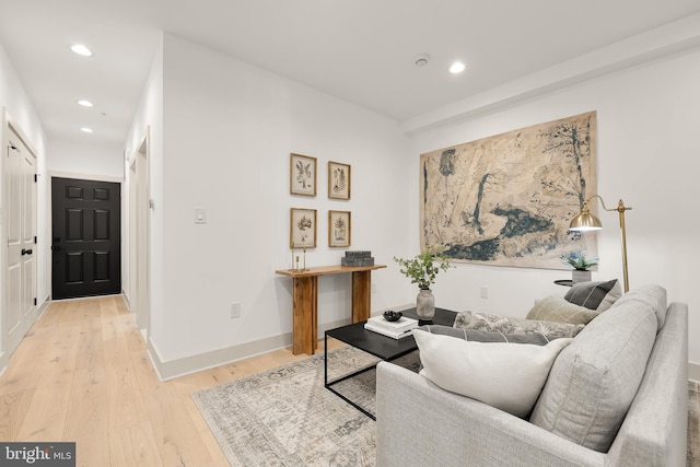 living room featuring light hardwood / wood-style floors