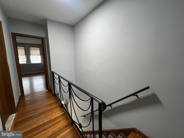 staircase with wood-type flooring