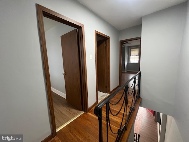 corridor featuring dark hardwood / wood-style flooring