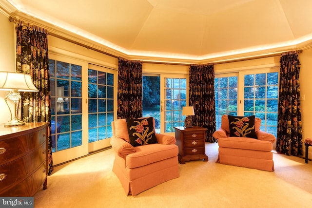 sitting room with carpet flooring and a raised ceiling