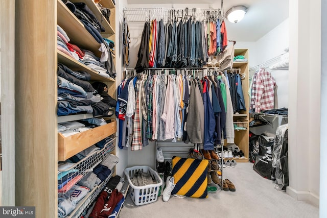 spacious closet with carpet