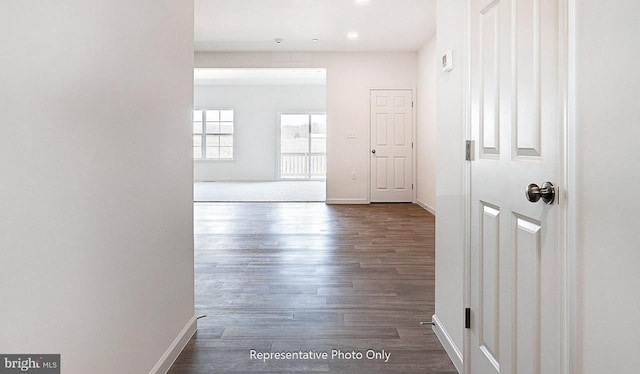 hall with dark hardwood / wood-style flooring