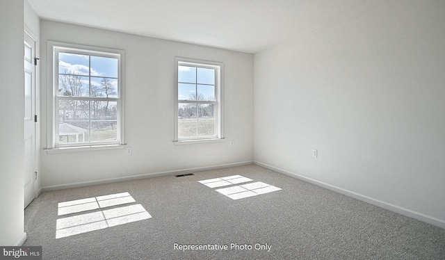 empty room featuring carpet and a wealth of natural light